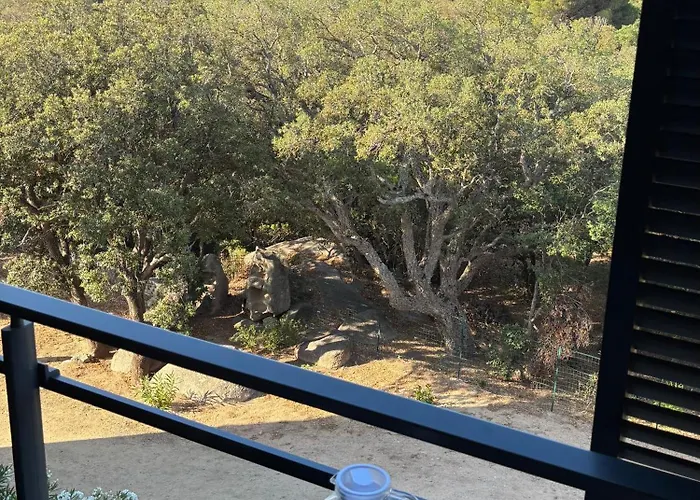 Superbe T2 Les Pieds Dans L'eau Pianottoli-Caldarello (Corsica)
