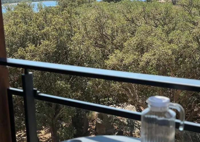 Superbe T2 Les Pieds Dans L'eau